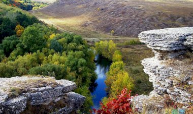 Покажу окресности)