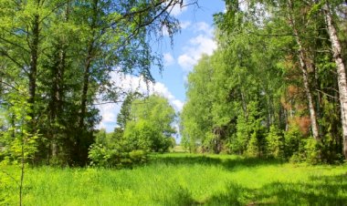 Покажу окрестности 3