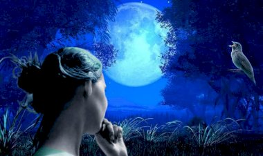 Соловей и Луна
