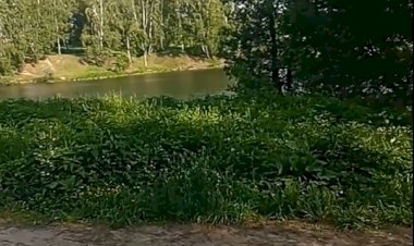 Погружение в летнюю нирвану..