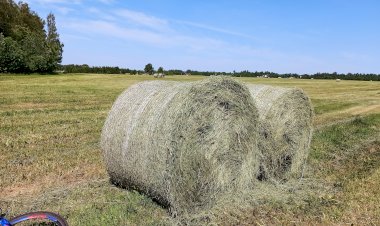 О погоде и новшествах в технике для сельского хозяйства