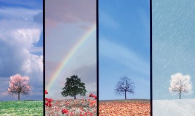 Стихи о временах года