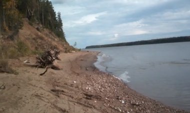 Мне рассказывал ветер - Автор Диана Горная музыка и поёт Александр Галлицкий