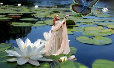 В цветочную Нирвану через монитор