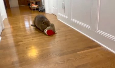 Важней всего — плотина в доме