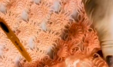 Нежное чудо крючком из петель Соломона