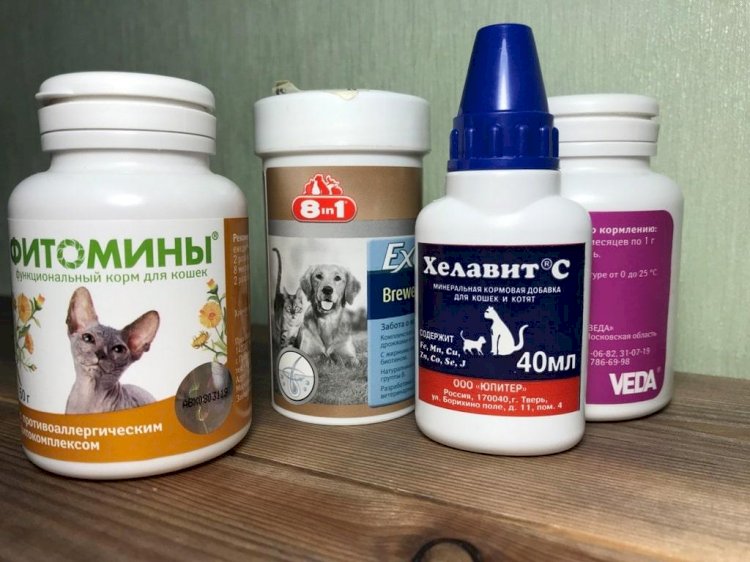 Витамины для кошек – нужны ли они, в каких случаях давать, как правильно выбрать