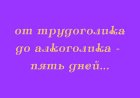 День трудоголика отмечается 5 июля