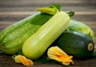 Блюда из кабачков, которые можно приготовить этим летом