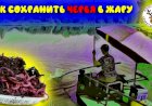 Как сохранить червей в жару