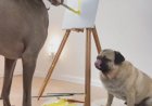 Собака, которая научилась рисовать картины