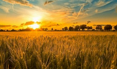 Необъятная Даль 2