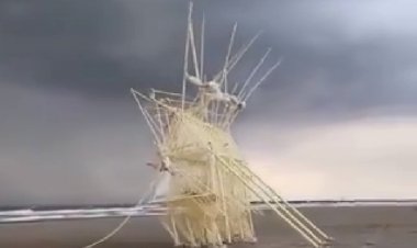 Удивительные скульптуры Тео Янсена