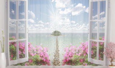 Шикарный вид