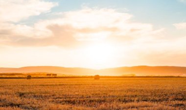 4 исторических языческих обычая первого летнего урожая.