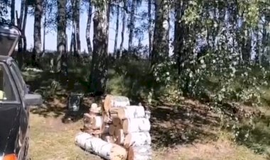 Природа родного края. Тамбов