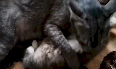 Мама Бася и её маленький сыночек