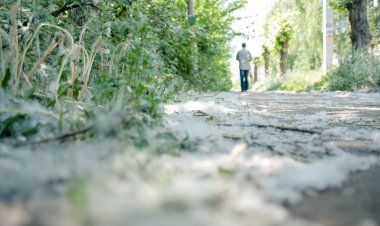 Красивая Даль