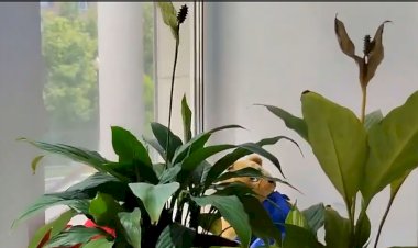 Почему высыхает "женское счастье" - прошу совета у экспертов