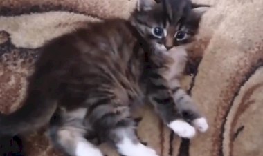 Как накормить такого ребёнка?