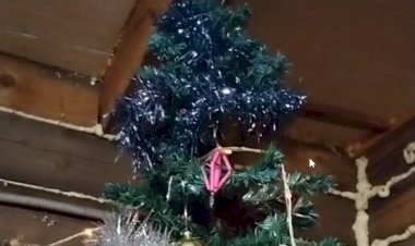 Наша зеленая красавица