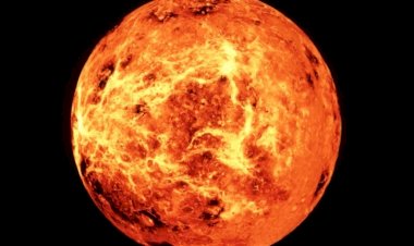 Есть ли вулканы на Венере?