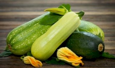 Блюда из кабачков, которые можно приготовить этим летом