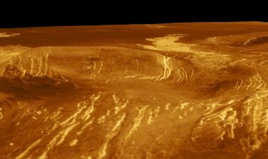 Были ли моря на Венере?