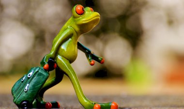 Встреча с Лягушонком)