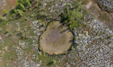 Тайна Тунгусского метеорита. Несколько интересных версий