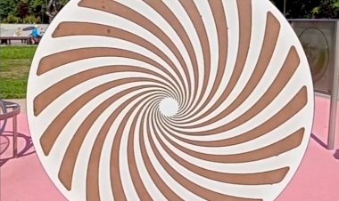 Гипнотическая вертушка