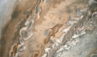 Дельфин на Юпитере