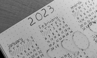 Полгода планирования по системе Bullet Journal
