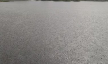 Чудесная дождливая погода - самое время идти на рынок