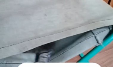 Последние минуты Пушка в отчем доме....