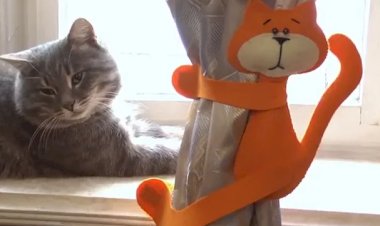 Новая игрушка для Барсика)