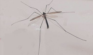 Как внешность влияет на судьбу