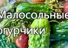 Рецепт огурчиков малосольных,  с чесночком и листиками смородины! Сезонная вкуснятина