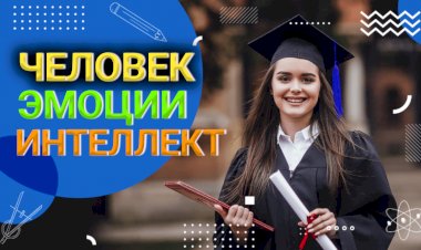 Влияние эмоций на принятие решений