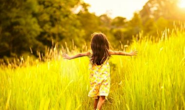 Лето вернулось)