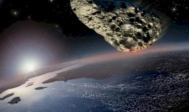 В метеоритах есть всё нужное для жизни