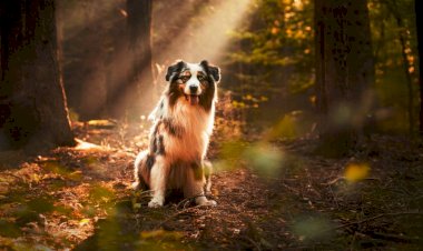 Классная Погода