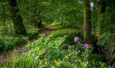 Самое красивое место