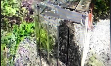 Фантастическая иллюзия.