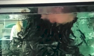 Самая лучшая технология очистки лица.