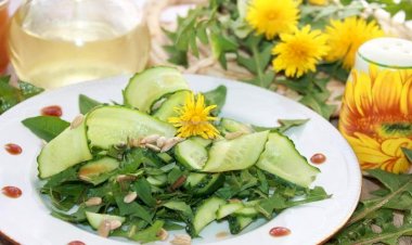 Одуванчиковый салатик)