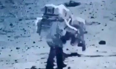 Базз, мы и в самом деле на Луне!