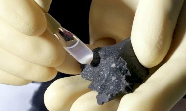 Откуда органика в метеоритах?