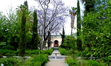 5 интересных мест в древнем городе Фес, Марокко