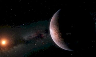 Как найти жизнь, не видя её